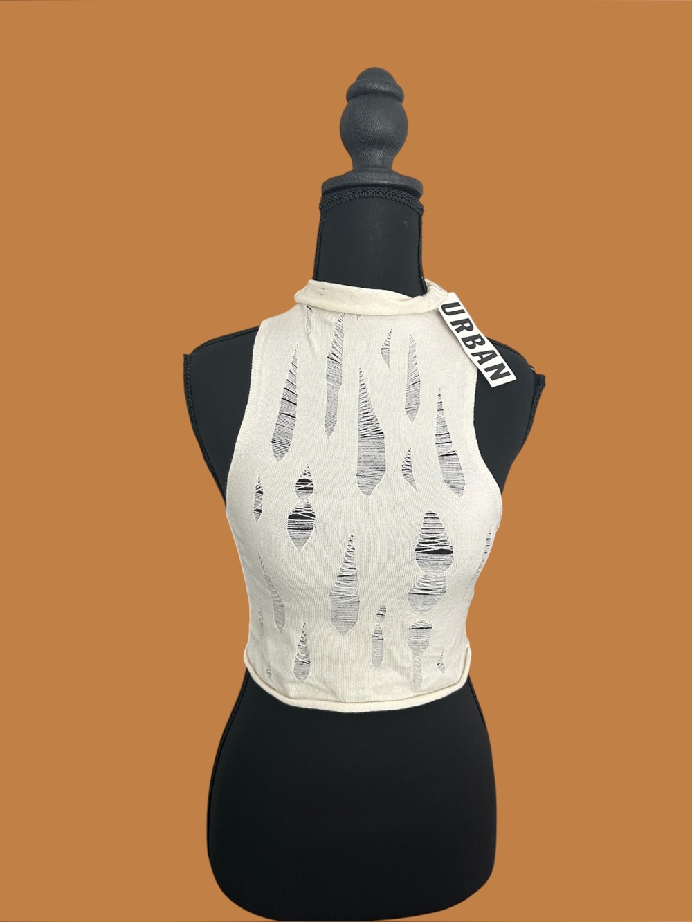 NWT  Urban Outfitters Mock-Neck Distressed Sleeveless Crop Top Sweater.